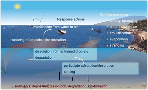 Processes Included In The Oscar Model Courtesy Of Sintef Download