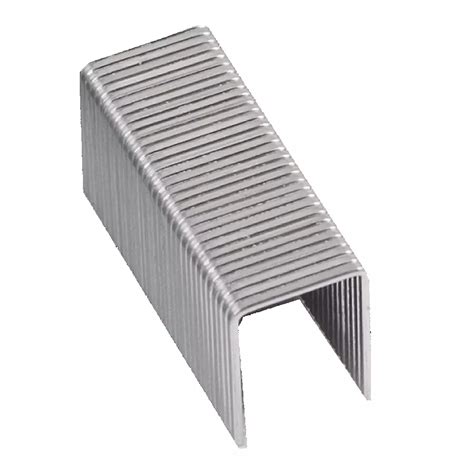 71 Series Stainless Steel Staples 12 Length Rowley Rowley