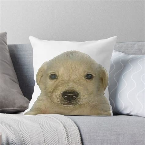 Jotchua Meme Jotchua Dog Pillow For Sale By Romanticists Bad Dog