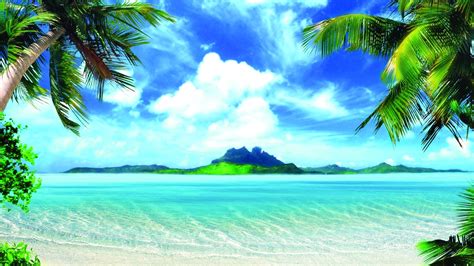 Cool Tropical Backgrounds Wallpaper