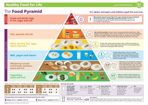 Healthy Food Pyramid Filndata