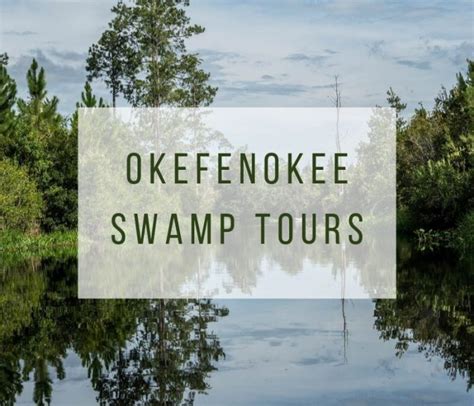 Okefenokee Swamp Tours Which One To Pick Our Traveling Zoo