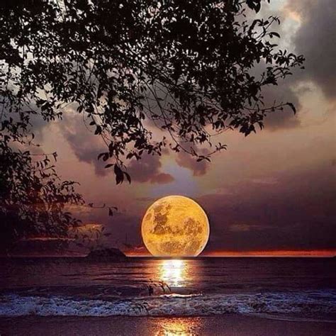 Good Night Shoot The Moon Nature Beautiful Moon