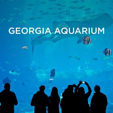 In this video i visit the ga we went to atlanta georgia for a few days and during our stay we visited the georgia aquarium! The Georgia Aquarium Atlanta GA - World's Largest Aquarium