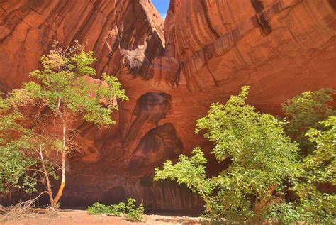 Golden Cathedral Neon Canyon Lugares Fantásticos