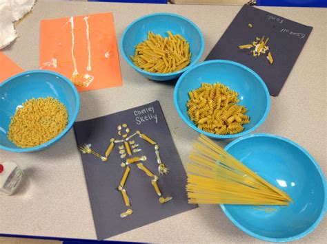 Lessons From Pasta Skeletons Rachelles Blog