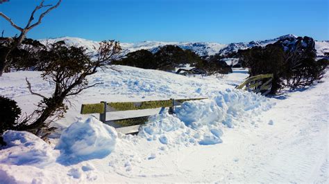 Wallpaper Snow Winter Resort Alps Australia Freezing Weather