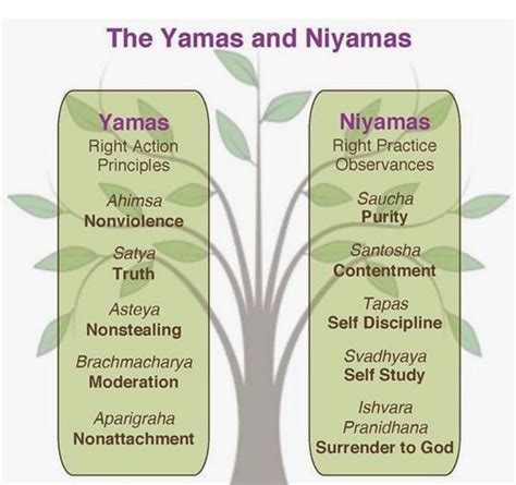 i have written a lot on the yamas and niyamas on my website and social media i truly believe if