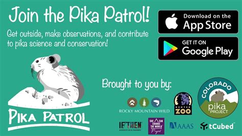 Easier Than Ever To Monitor Pikas With The Pika Patrol App Youtube