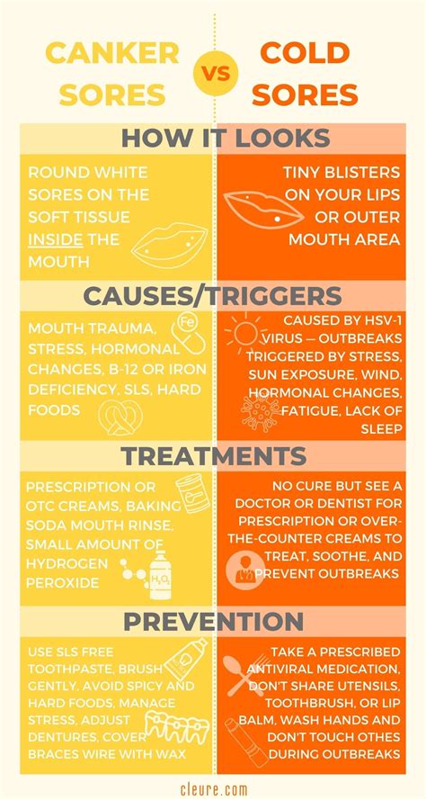 Canker Sores Vs Cold Sores Infographic Cleure