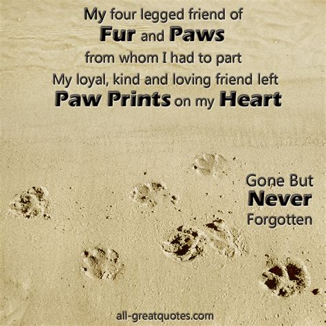 Dog In Loving Memory Quotes Quotesgram