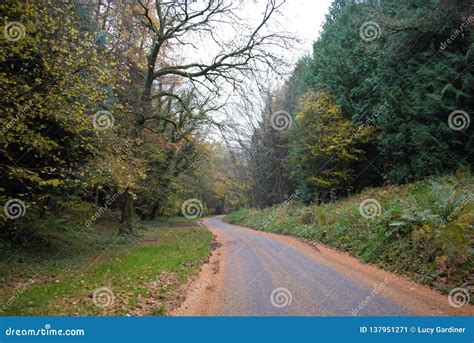 Quiet Country Road Royalty Free Stock Photo 137951271