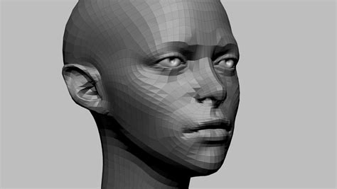 Stylized Female Head B 3d Model Cgtrader