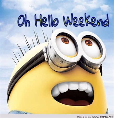 Weekend Is Here Quotes Funny Quotesgram