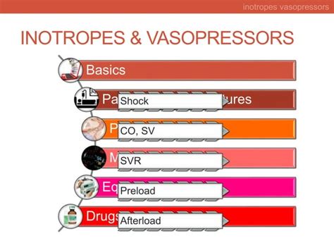 Rational Choice Of Inotropes And Vasopressors In Intensive Care Unit