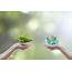 Tips To Help Save Mother Earth This Environment Day  Bro4u Blog