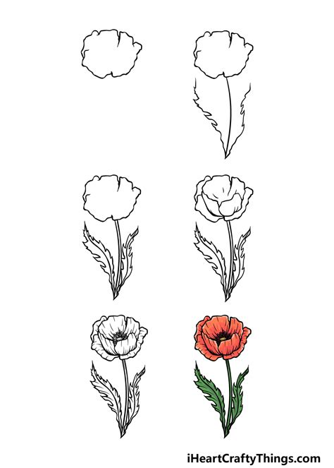 How To Draw A Poppy Flower Step By Easy Best Flower Site