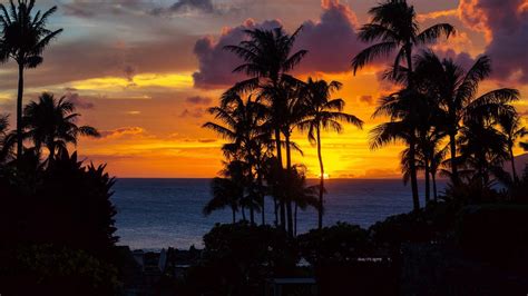 Обои пальмы закат океан облака ночь тропики картинки на рабочий