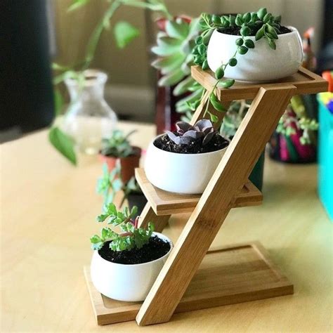 28 Affordable Luxuries To Treat Yourself To Right Now Desk Plants