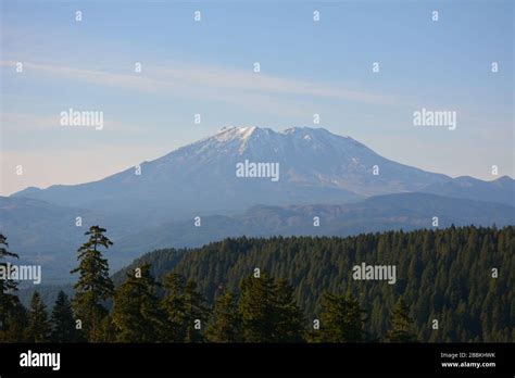 View Of The South Side Of Mt St Helens Across The Ford Pinchot