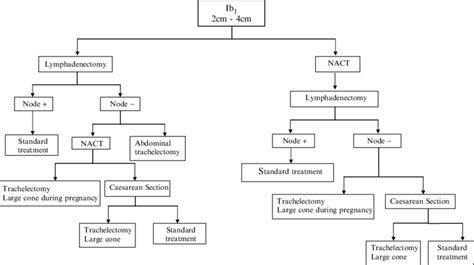 2 Algorithm For The Treatment Of Cervical Cancer Stage Ib1 2 4 Cm