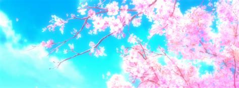 Pink Flower Plant Natcurel Picture Timeline Cover Facebook Anime