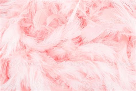 Pink Feather Background 1251039 Stock Photo At Vecteezy