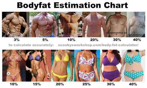 Body Fat Estimation Chart Men Women Scooby S Home Workouts