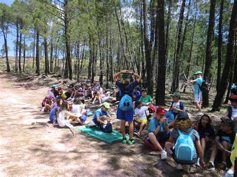 Campamentos De Verano Para Niños En El Abergue Dehesa De Solanillos