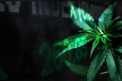 4 blockchain stocks to watch published: Will These Marijuana Stocks To Watch Rebound In 2021 ...