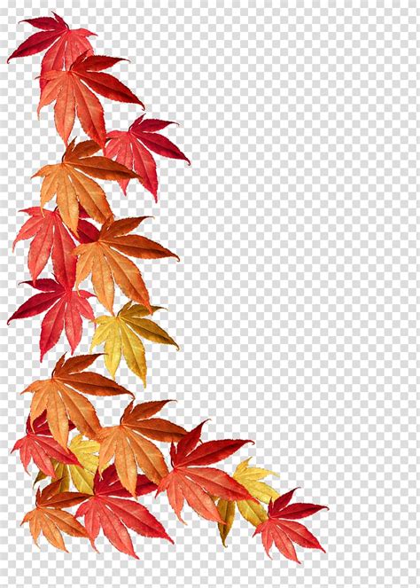 Red Leaf Borders And Frames Maple Leaf Autumn Leaf Color Autumn