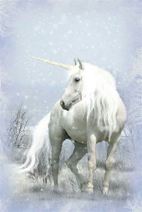 Pin By Jesse Zeitz On Fairies And Unicorns Unicorn Fantasy Unicorn