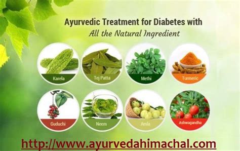 Ayurvedic Treatment For Diabetes With Arogyam Pure Herbs Visit