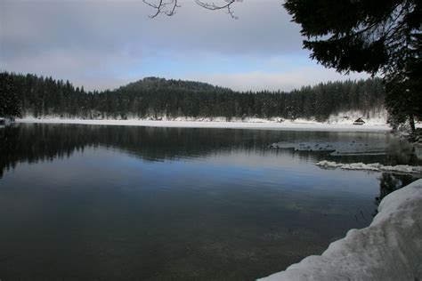 Visit And Explore Laghi Di Fusine Lakes Near Travisio Italy