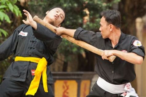 Martial Arts In Vietnamese History
