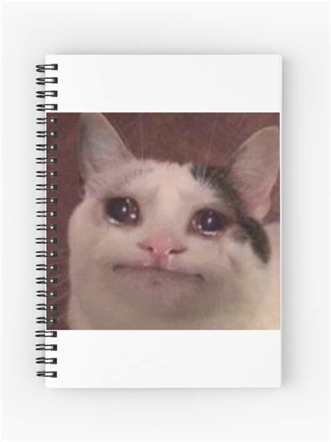 Foto De Gato Llorando Meme Fotos De Stock De Offset