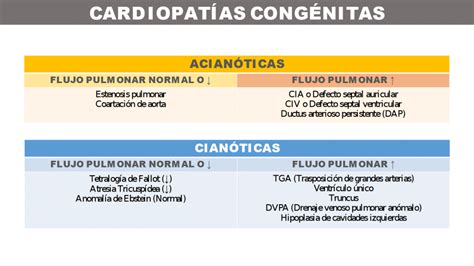 Cardiotruco Chuleta De Cardiopatías Congénitas Cardioprimaria Ferrol