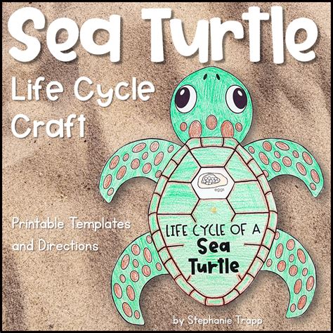 Sea Turtle Life Cycle Activities Primary Theme Park