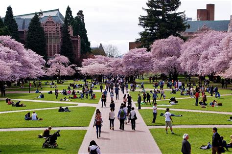【アメリカの大学】在学生から見たワシントン大学の魅力 Univ It公式ブログ