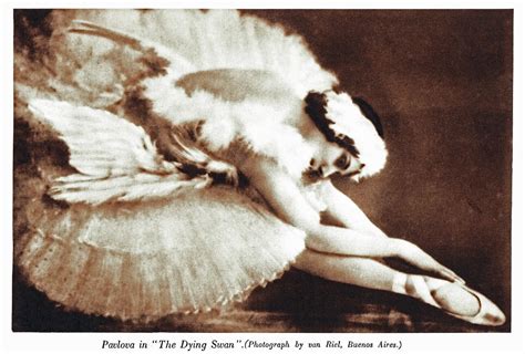 anna pavlova dying swan