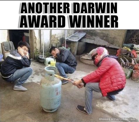 Candiate For The Darwin Awards Man Up Tree With Saw Funny Sad