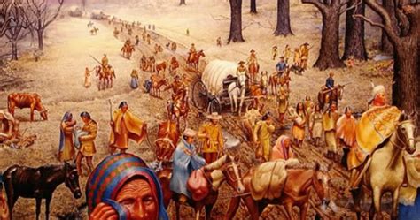 🌱 Indian Removal Act Of 1830 Andrew Jackson Andrew Jackson Indian