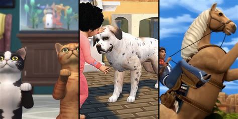 The Sims 4 Every Life Stage And Lifespan