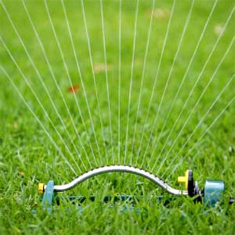The best time to water your lawn in the summer is in the early morning hours, ideally before sunrise. Hot Summer Lawn Survival Guide - Mike's Backyard Nursery