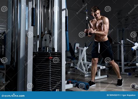 Man With A Naked Torso Trains A Triceps In The Gym Stock Image Image