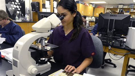 Student Looking Through A Microscope