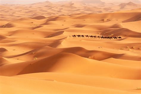 10 Facts About The Sahara Desert Egypt Tours Travel Talk Tours