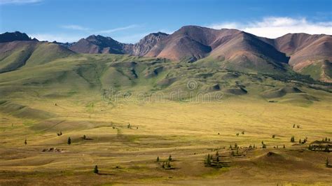 Mountain Panorama Of Chui Mountain Range In Altai With Snow Russia