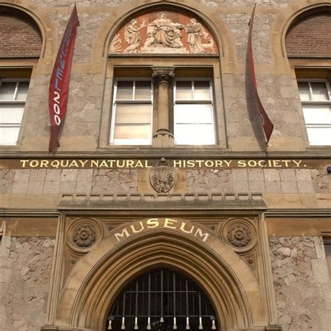 Creative Torbay Directory Torquay Museum See Something Amazing