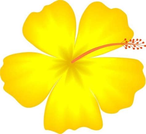 Dibujos Hawaianos E Imágenes Para Una Fiesta Infantil Hawaiian Flower